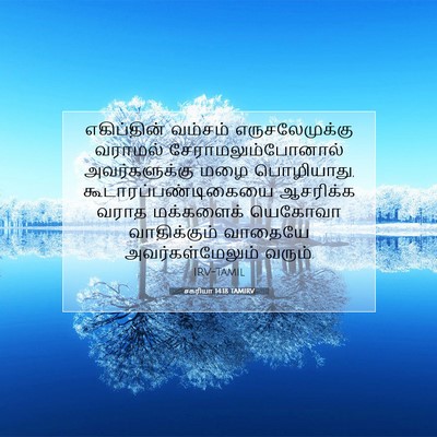Picture 07 - சகரியா 14:18 TAMIRV - எகிப்தின் வம்சம் - Bible Verse Picture