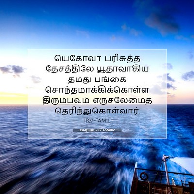Picture 07 - சகரியா 2:12 TAMIRV - யெகோவா பரிசுத்த - Bible Verse Picture