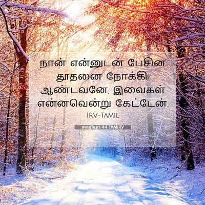 Picture 07 - சகரியா 4:4 TAMIRV - நான் என்னுடன் - Bible Verse Picture