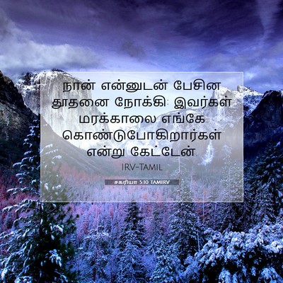 Picture 07 - சகரியா 5:10 TAMIRV - நான் என்னுடன் - Bible Verse Picture