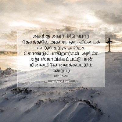 Picture 07 - சகரியா 5:11 TAMIRV - அதற்கு அவர்: - Bible Verse Picture