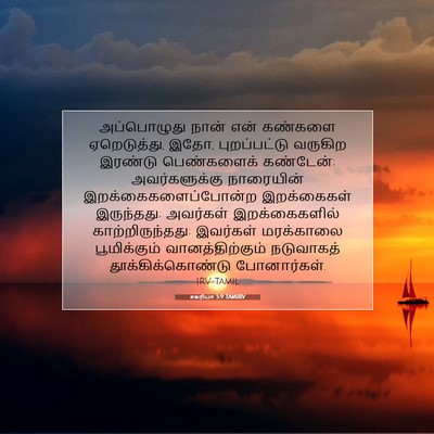 Picture 07 - சகரியா 5:9 TAMIRV - அப்பொழுது நான் - Bible Verse Picture