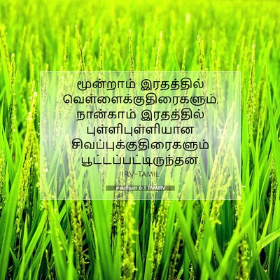 Picture 07 - சகரியா 6:3 TAMIRV - மூன்றாம் - Bible Verse Picture