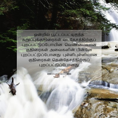 Picture 07 - சகரியா 6:6 TAMIRV - ஒன்றில் - Bible Verse Picture