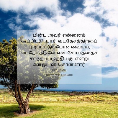 Picture 07 - சகரியா 6:8 TAMIRV - பின்பு அவர் - Bible Verse Picture