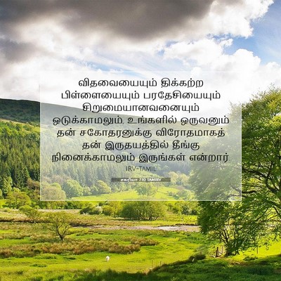 Picture 07 - சகரியா 7:10 TAMIRV - விதவையையும் - Bible Verse Picture