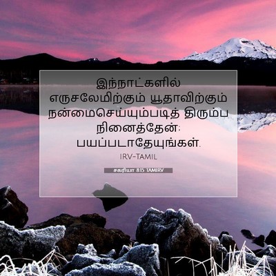 Picture 07 - சகரியா 8:15 TAMIRV - இந்நாட்களில் - Bible Verse Picture