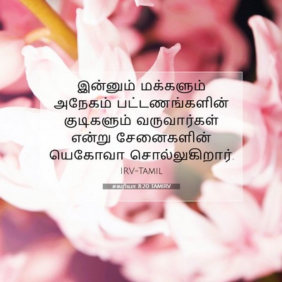 Picture 07 - சகரியா 8:20 TAMIRV - இன்னும் மக்களும் - Bible Verse Picture
