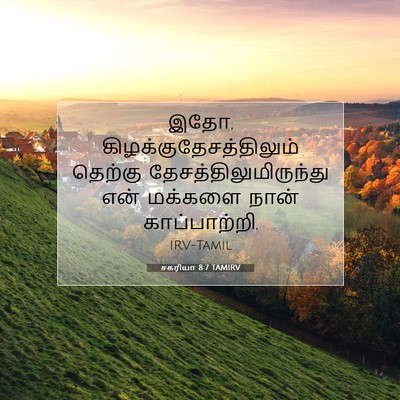 Picture 07 - சகரியா 8:7 TAMIRV - இதோ, - Bible Verse Picture