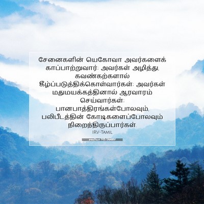 Picture 07 - சகரியா 9:15 TAMIRV - சேனைகளின் யெகோவா - Bible Verse Picture