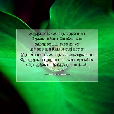 Picture 07 - சகரியா 9:16 TAMIRV - அந்நாளில் - Bible Verse Picture