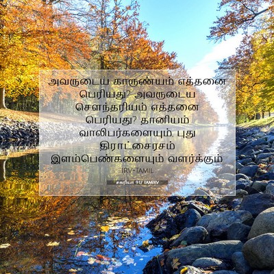 Picture 07 - சகரியா 9:17 TAMIRV - அவருடைய காருண்யம் - Bible Verse Picture
