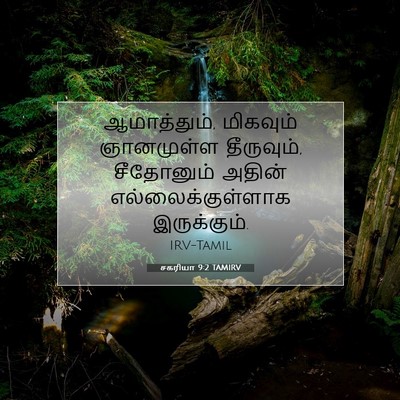 Picture 07 - சகரியா 9:2 TAMIRV - ஆமாத்தும், - Bible Verse Picture