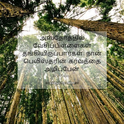 Picture 07 - சகரியா 9:6 TAMIRV - அஸ்தோத்தில் - Bible Verse Picture