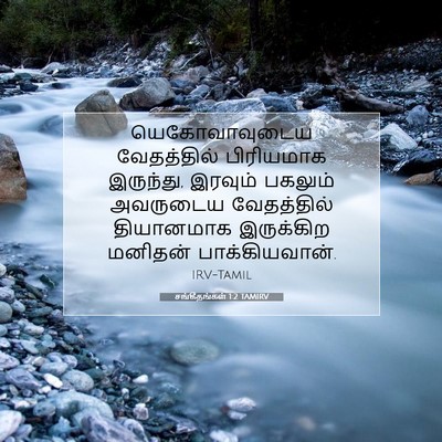 Picture 07 - சங்கீதங்கள் 1:2 TAMIRV - யெகோவாவுடைய - Bible Verse Picture
