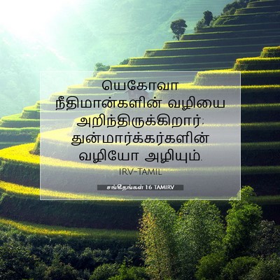 Picture 07 - சங்கீதங்கள் 1:6 TAMIRV - யெகோவா - Bible Verse Picture