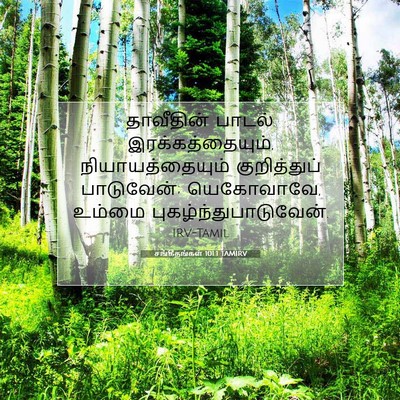 Picture 07 - சங்கீதங்கள் 101:1 TAMIRV - தாவீதின் பாடல். - Bible Verse Picture