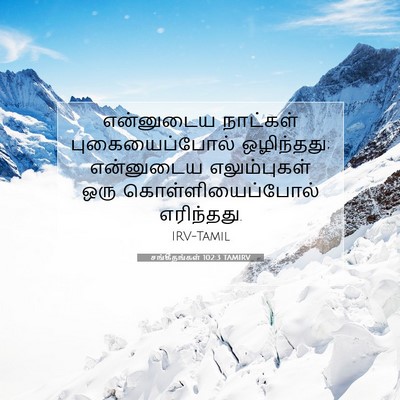 Picture 07 - சங்கீதங்கள் 102:3 TAMIRV - என்னுடைய நாட்கள் - Bible Verse Picture