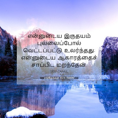 Picture 07 - சங்கீதங்கள் 102:4 TAMIRV - என்னுடைய இருதயம் - Bible Verse Picture