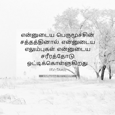 Picture 07 - சங்கீதங்கள் 102:5 TAMIRV - என்னுடைய - Bible Verse Picture