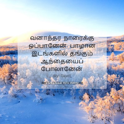 Picture 07 - சங்கீதங்கள் 102:6 TAMIRV - வனாந்தர நாரைக்கு - Bible Verse Picture