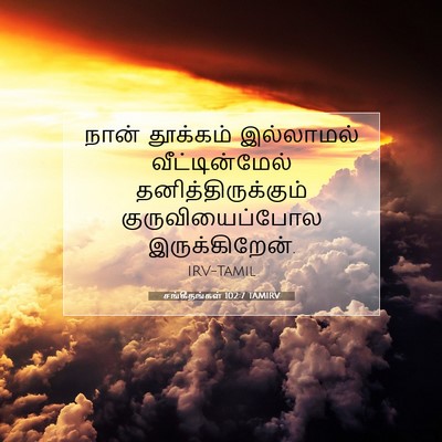 Picture 07 - சங்கீதங்கள் 102:7 TAMIRV - நான் தூக்கம் - Bible Verse Picture