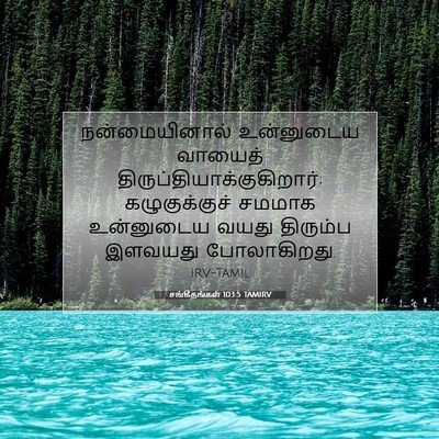 Picture 07 - சங்கீதங்கள் 103:5 TAMIRV - நன்மையினால் - Bible Verse Picture