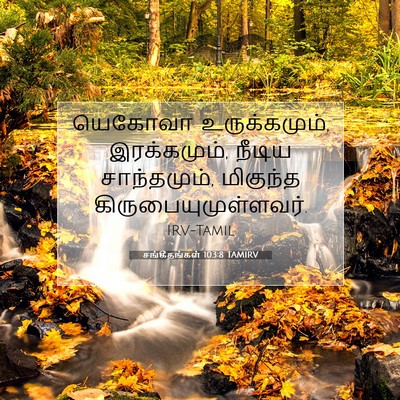 Picture 07 - சங்கீதங்கள் 103:8 TAMIRV - யெகோவா - Bible Verse Picture