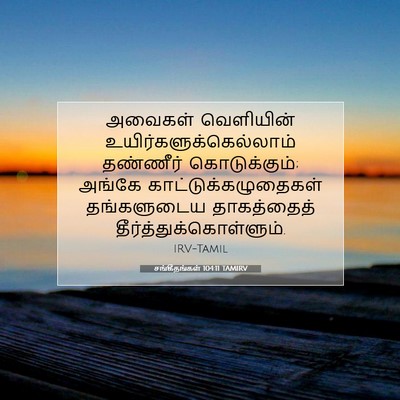 Picture 07 - சங்கீதங்கள் 104:11 TAMIRV - அவைகள் வெளியின் - Bible Verse Picture