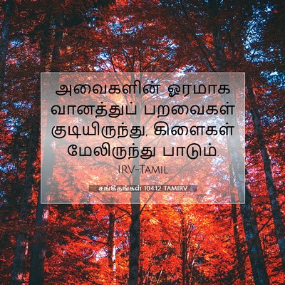 Picture 07 - சங்கீதங்கள் 104:12 TAMIRV - அவைகளின் ஓரமாக - Bible Verse Picture