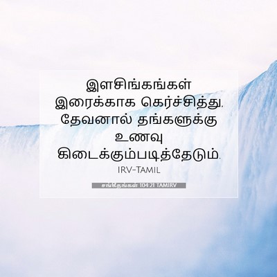 Picture 07 - சங்கீதங்கள் 104:21 TAMIRV - இளசிங்கங்கள் - Bible Verse Picture