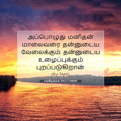 Picture 07 - சங்கீதங்கள் 104:23 TAMIRV - அப்பொழுது மனிதன் - Bible Verse Picture