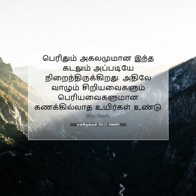 Picture 07 - சங்கீதங்கள் 104:25 TAMIRV - பெரிதும் அகலமுமான - Bible Verse Picture