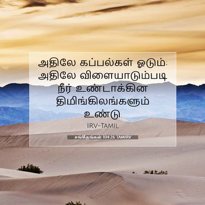Picture 07 - சங்கீதங்கள் 104:26 TAMIRV - அதிலே கப்பல்கள் - Bible Verse Picture