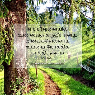 Picture 07 - சங்கீதங்கள் 104:27 TAMIRV - ஏற்றவேளையில் - Bible Verse Picture