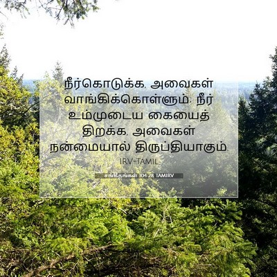 Picture 07 - சங்கீதங்கள் 104:28 TAMIRV - நீர்கொடுக்க, - Bible Verse Picture