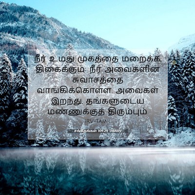 Picture 07 - சங்கீதங்கள் 104:29 TAMIRV - நீர் உமது முகத்தை - Bible Verse Picture
