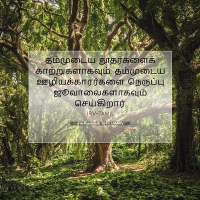 Picture 07 - சங்கீதங்கள் 104:4 TAMIRV - தம்முடைய - Bible Verse Picture