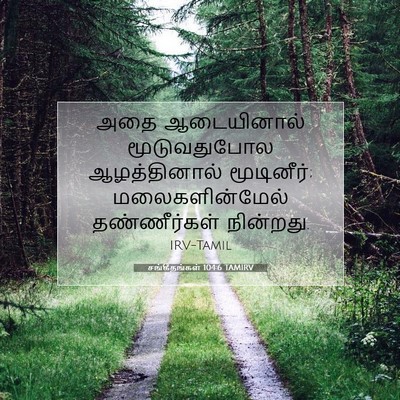 Picture 07 - சங்கீதங்கள் 104:6 TAMIRV - அதை ஆடையினால் - Bible Verse Picture
