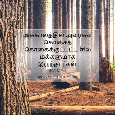 Picture 07 - சங்கீதங்கள் 105:12 TAMIRV - அக்காலத்தில் - Bible Verse Picture