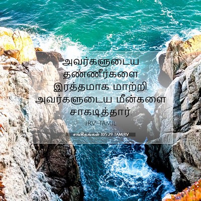Picture 07 - சங்கீதங்கள் 105:29 TAMIRV - அவர்களுடைய - Bible Verse Picture