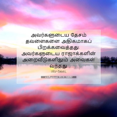Picture 07 - சங்கீதங்கள் 105:30 TAMIRV - அவர்களுடைய தேசம் - Bible Verse Picture