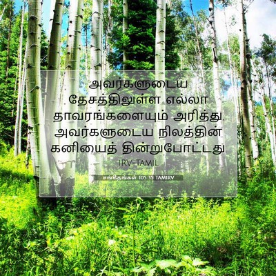 Picture 07 - சங்கீதங்கள் 105:35 TAMIRV - அவர்களுடைய - Bible Verse Picture