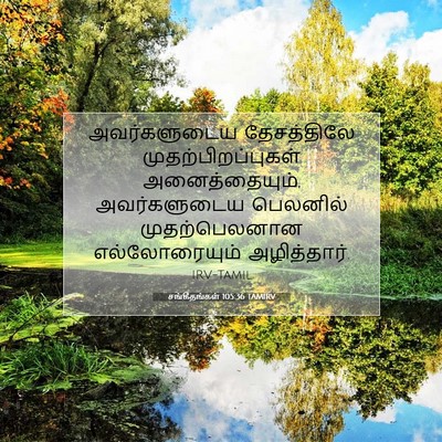 Picture 07 - சங்கீதங்கள் 105:36 TAMIRV - அவர்களுடைய - Bible Verse Picture