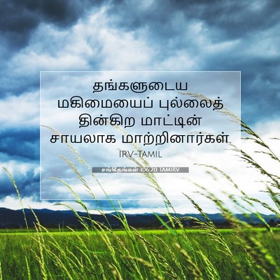 Picture 07 - சங்கீதங்கள் 106:20 TAMIRV - தங்களுடைய - Bible Verse Picture