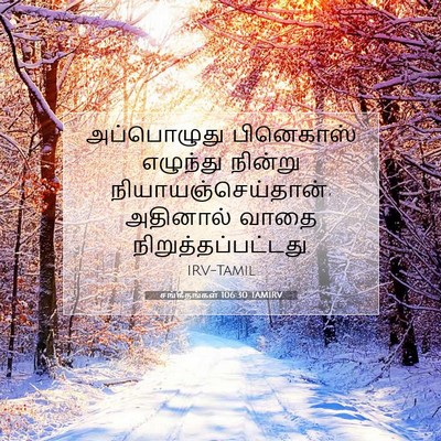 Picture 07 - சங்கீதங்கள் 106:30 TAMIRV - அப்பொழுது - Bible Verse Picture