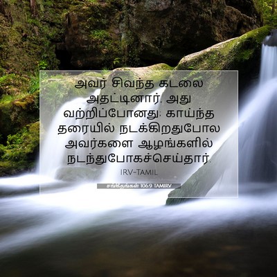 Picture 07 - சங்கீதங்கள் 106:9 TAMIRV - அவர் சிவந்த கடலை - Bible Verse Picture