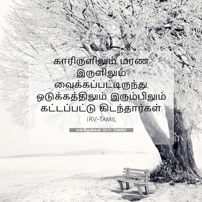 Picture 07 - சங்கீதங்கள் 107:11 TAMIRV - காரிருளிலும் மரண - Bible Verse Picture