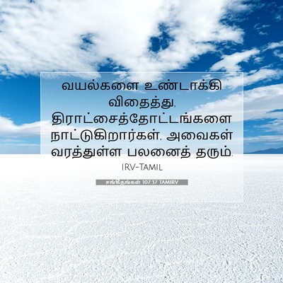 Picture 07 - சங்கீதங்கள் 107:37 TAMIRV - வயல்களை உண்டாக்கி - Bible Verse Picture