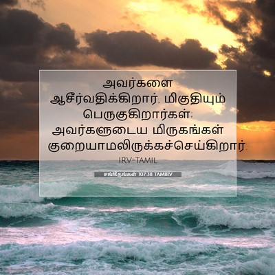 Picture 07 - சங்கீதங்கள் 107:38 TAMIRV - அவர்களை - Bible Verse Picture